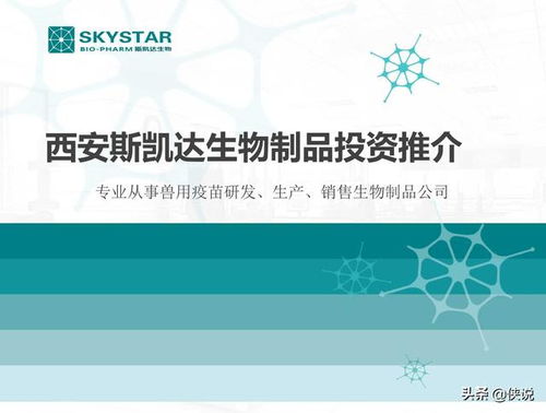 18份商业计划书参考 PDF版