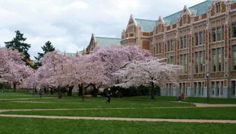 青岛九中13级中美班学生获美国顶尖大学录取