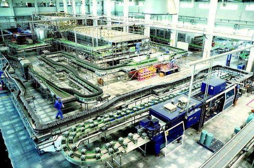 1637亿品牌价值的青岛啤酒,用技术创新俘虏年轻人