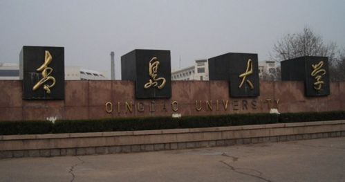 请问青岛大学是否是国家重点大学