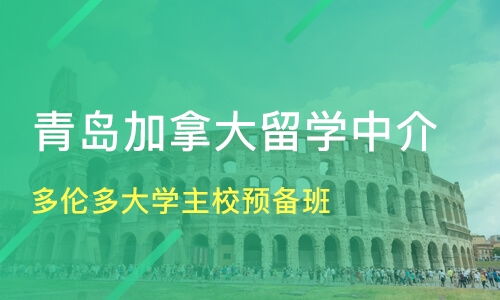 青岛多伦多大学主校预备班价格 加拿大留学哪家好 青岛新飞洋留学 淘学培训