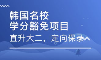青岛国际硕士项目b