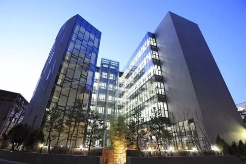 青岛韩语暑假培训,解析韩国留学语言学校选择