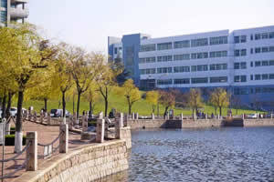 青岛大学出国留学