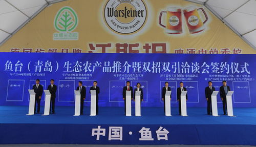 山东 鱼台 青岛 生态农产品推介暨双招双引洽谈会举行