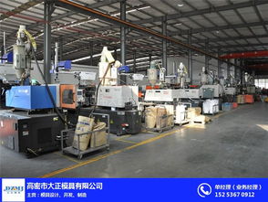 山东注塑加工工厂 高密大正模具 注塑