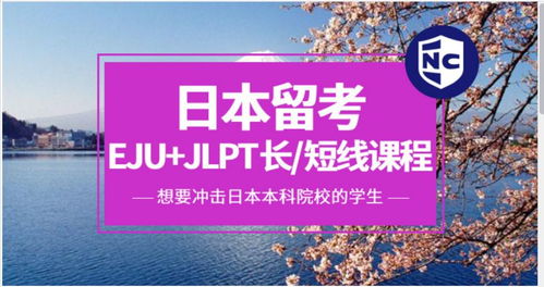 青岛即墨市日本留学培训机构哪家好 日本留学哪家好 日本留学培训机构学费 淘学培训