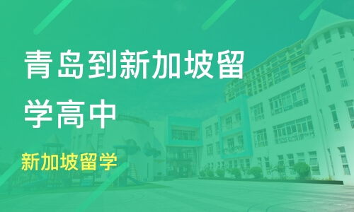 青岛市北区新加坡留学培训班哪家好 新加坡留学培训班哪家好 新加坡留学培训课程排名 淘学培训