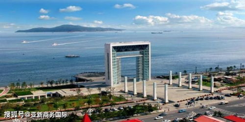 bvi海牙认证案例