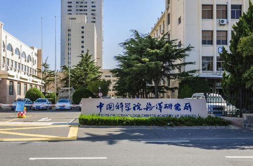 外籍华人天才教师,在美国多年,选择携带20名华人博士回国发展