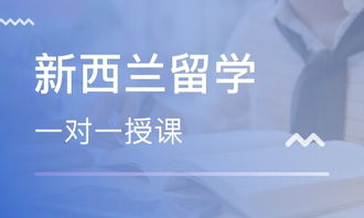 青岛初中生留学新西兰
