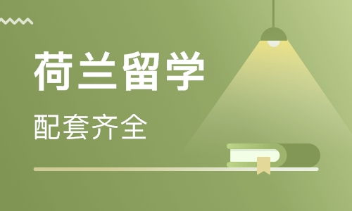 青岛荷兰留学培训 荷兰留学培训学校 培训机构排名